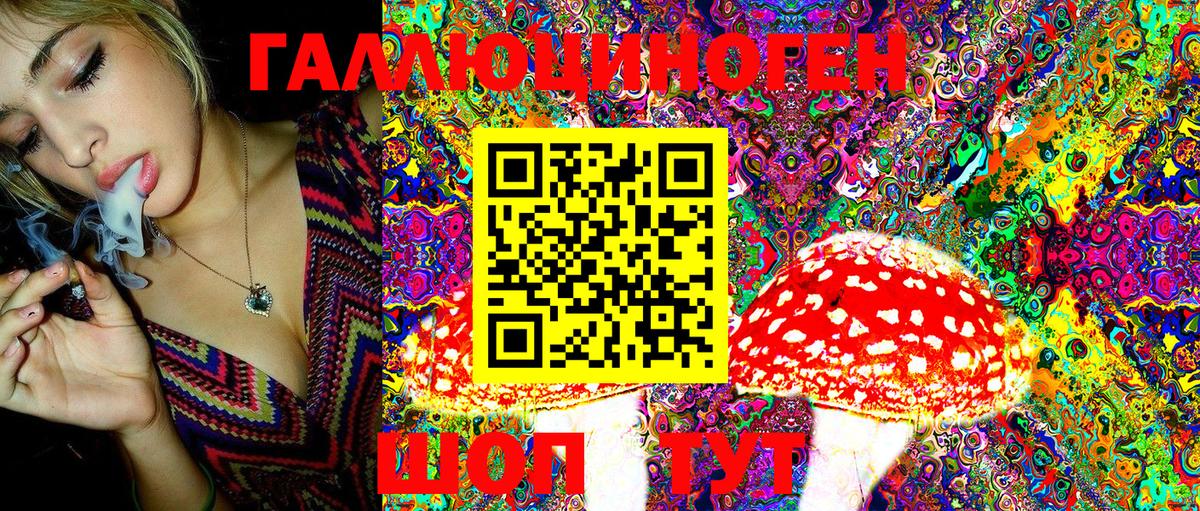 Королёв  Псилоцибиновые грибы Magic Shrooms  Вход с VPN 
